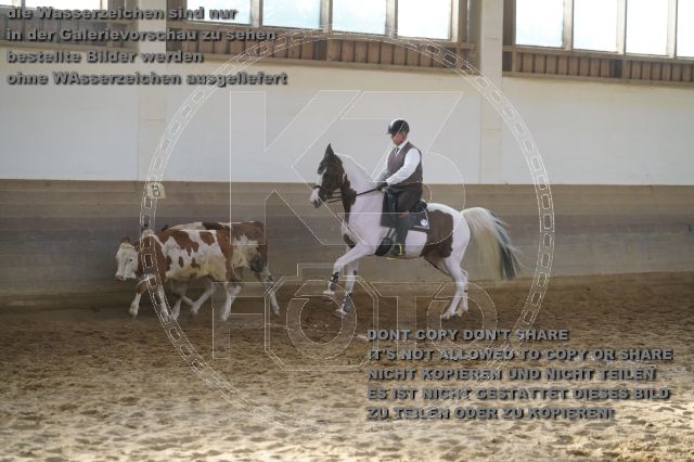 s_K3F02435.JPG
